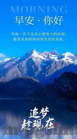 比分网足球-揭秘比分网足球，数据背后的战术博弈与球迷狂欢