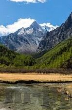 足球比分大师网址-足球比分大师网址，解锁绿茵场数据宝藏的钥匙